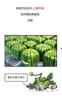武汉吃瓜群众最新爆料事件,揭秘背后惊人真相 第3张 武汉吃瓜群众最新爆料事件,揭秘背后惊人真相 第3张