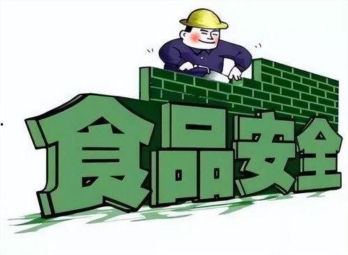 爆料食品安全视频播放内容,食品安全视频曝光惊人内幕