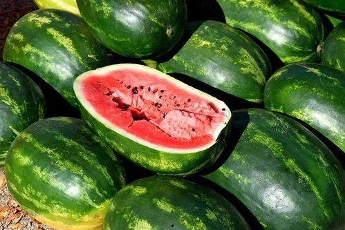 吃瓜最新免费,最新免费生成攻略大公开 第2张 吃瓜最新免费,最新免费生成攻略大公开 第2张